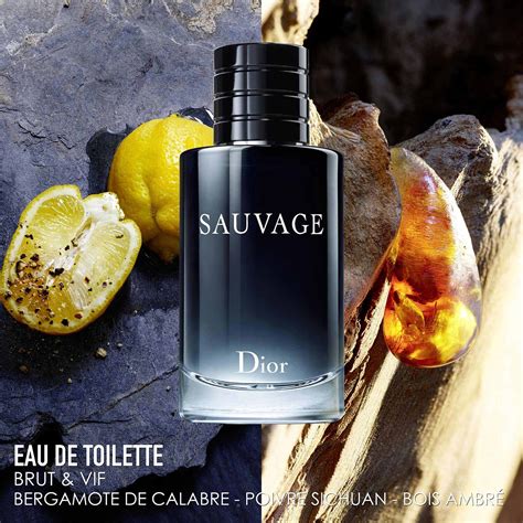 dior sauvage eau de toilette 50 ml|dior sauvage for men superdrug.